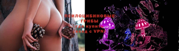 соль ск Алексин