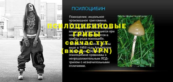 МДПВ Алзамай