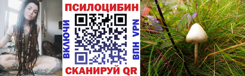 Псилоцибиновые грибы Psilocybe  продажа наркотиков  Венёв 